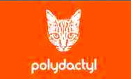 Polydactyl Cat Toys